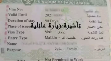 قرار السعودية بمنع 70 من تأشيرات الزيارة العائلية يؤثر على حياة ملايين المقيمين ويعيد تشكيل توجهات الهجرة 1